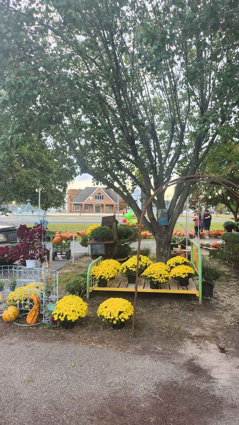 The Farmers Daughter Produce - Hayes, Virginia
