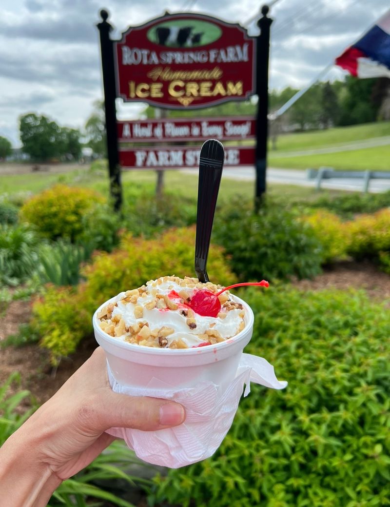 Rota Spring Ice Cream - Sterling, Massachusetts