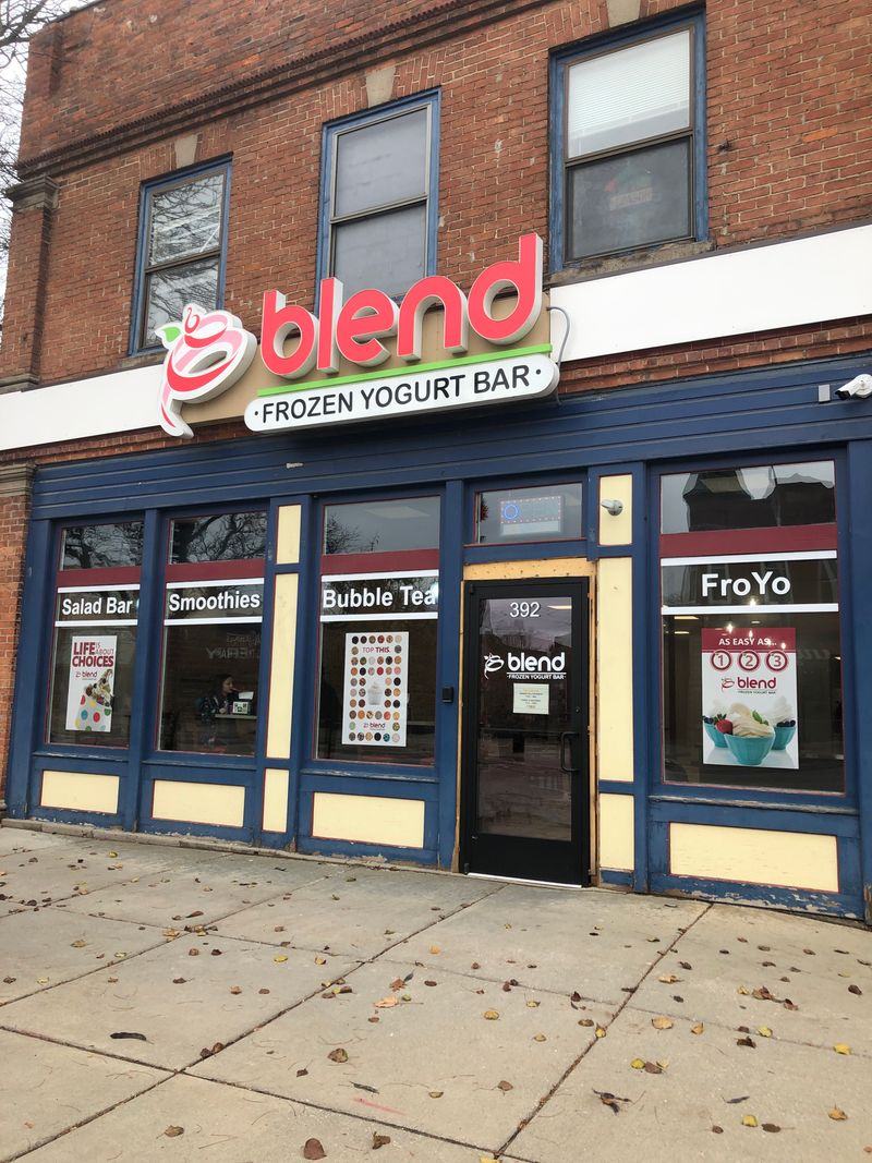 Blend Frozen Yogurt Bar - Lapeer, Michigan