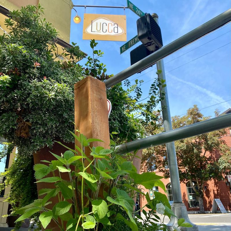 Lucca - Portland, Oregon