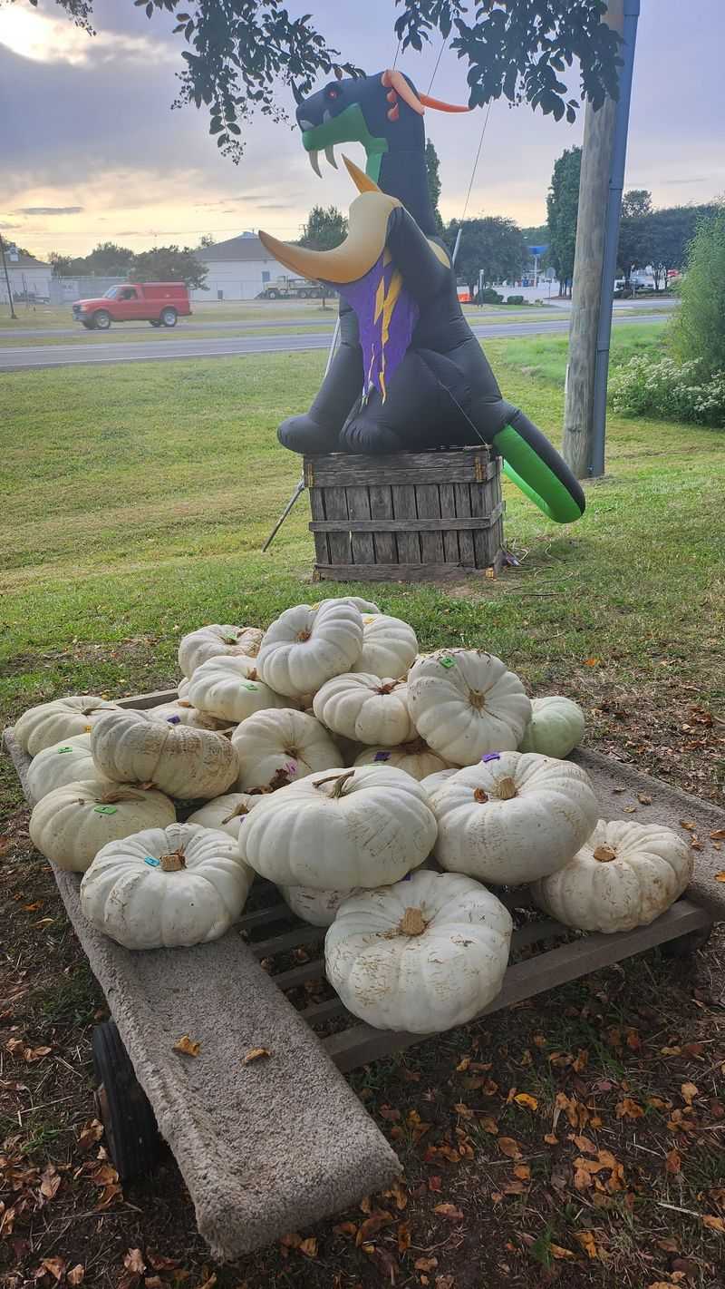 The Farmers Daughter Produce - Hayes, Virginia