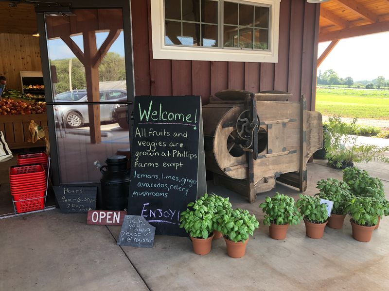 Phillips Farms Market - Milford, New Jersey