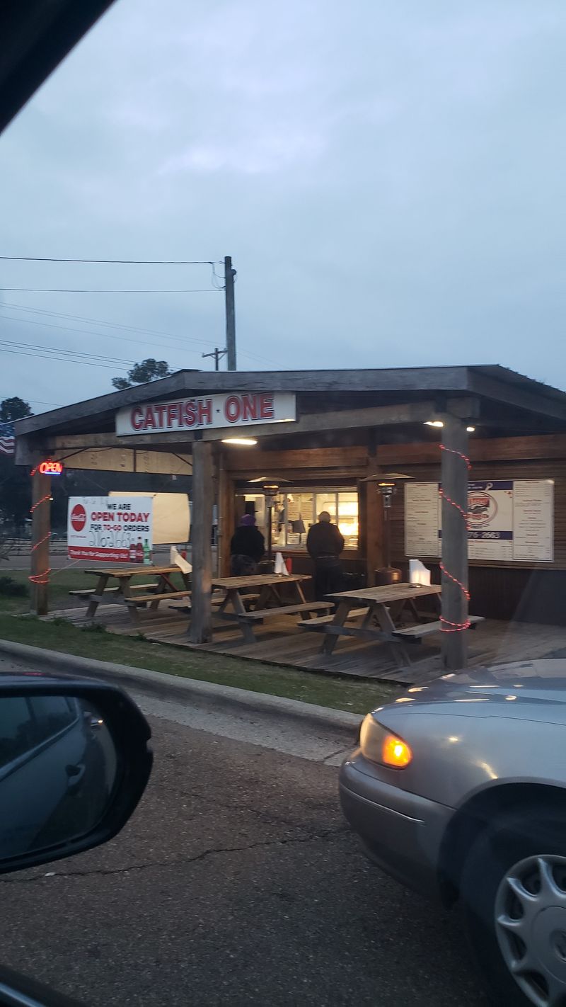 9 Mississippi Catfish Houses Where Crispy Fillets Rule the Menu 14 Catfish One of McComb - McComb, Mississippi