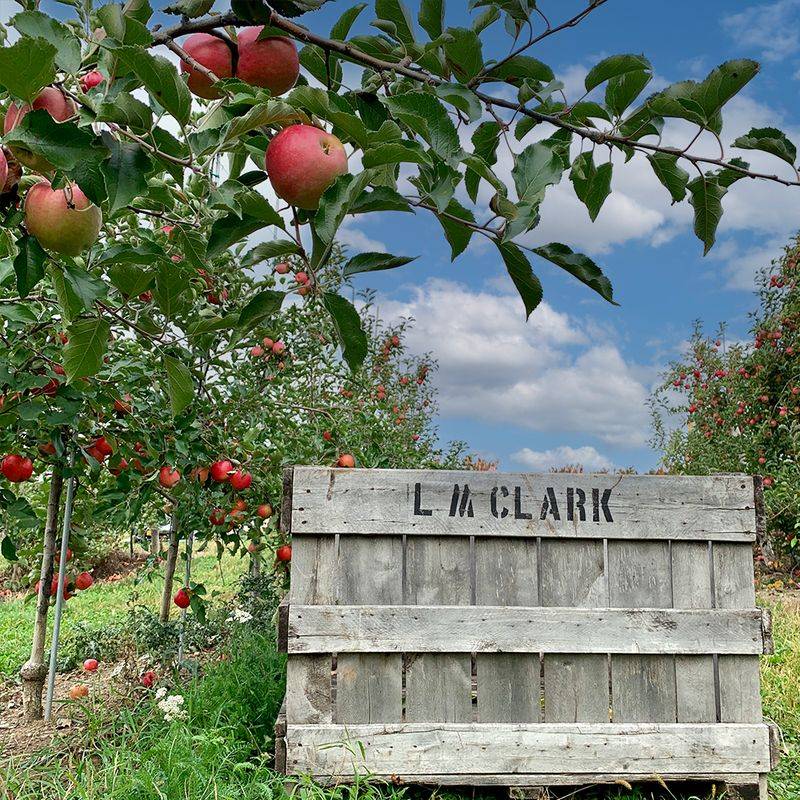 Prospect Hill Orchards - Hilltop Farm – Milton, New York