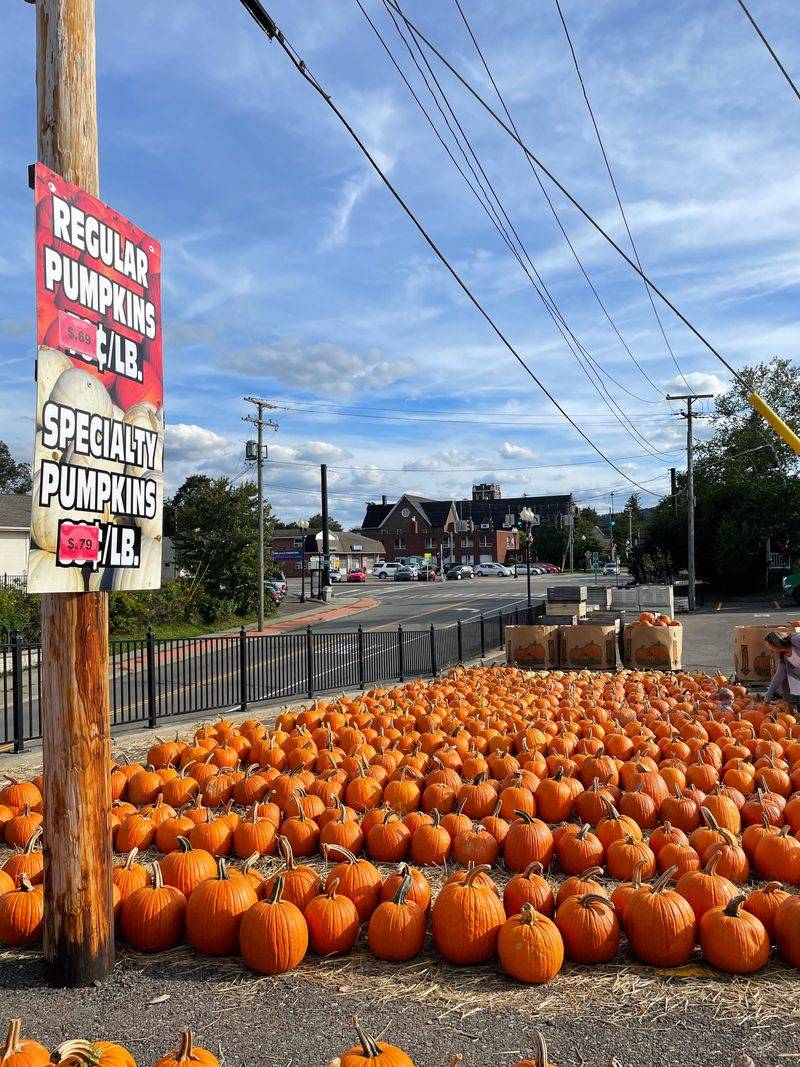 Plan Your Visit Like A Local