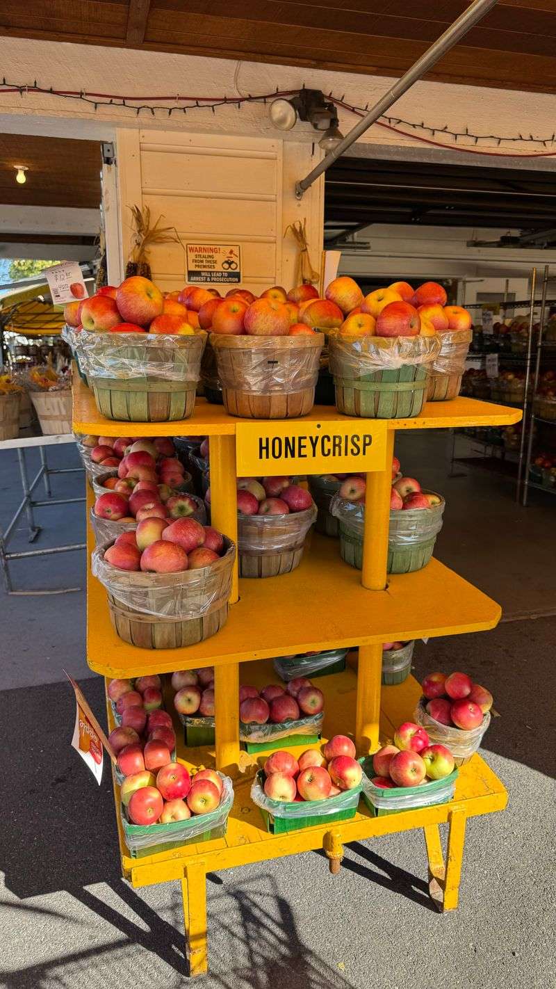 What To Bring And How To Store