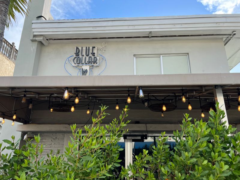 Blue Collar - Miami, Florida