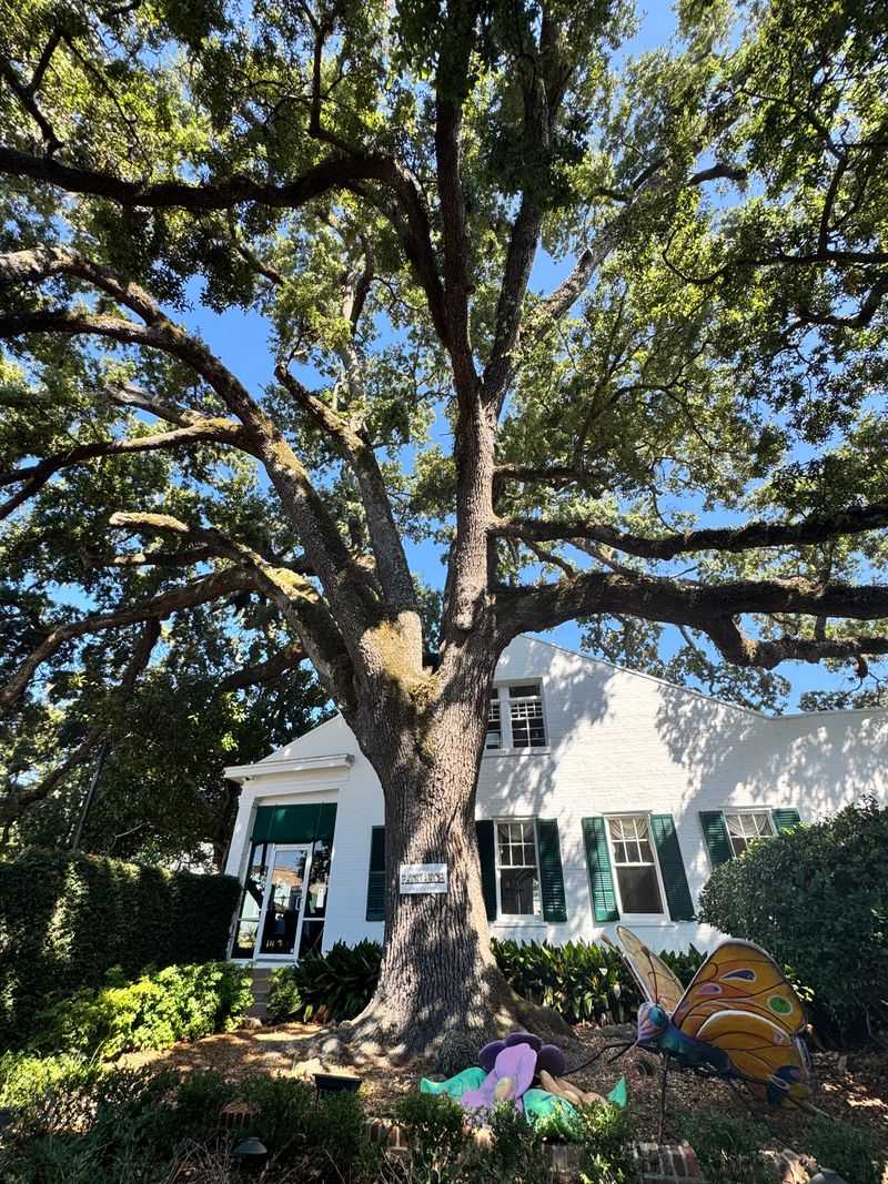 A Food Lover’s Tour of 50 Unusual and Unforgettable Spots Across America 25 Mary Mahoney's Old French House- Biloxi, Mississippi