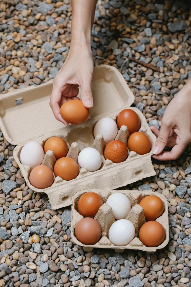 16 Foods That Used to Be Everyday Staples, Not Lifestyle Choices 8 Eggs carton