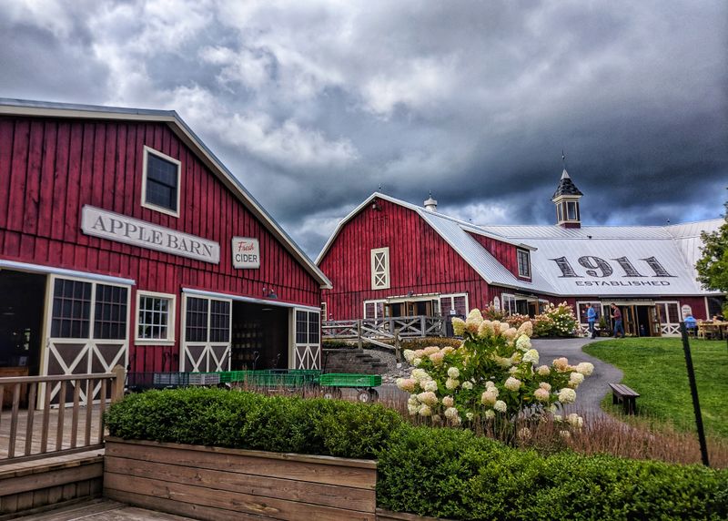 Beak & Skiff Apple Hill Campus / 1911 Tasting Room – Lafayette, New York