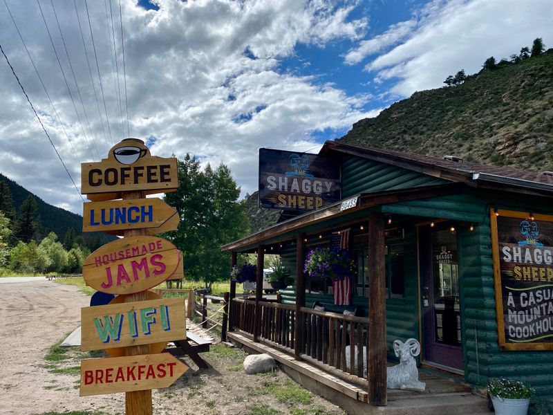 The Shaggy Sheep - Grant, Colorado