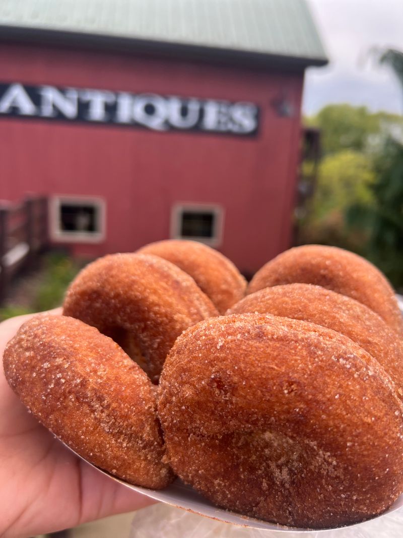 Cider and Donut Pairing Perfection