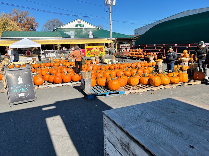 Accessibility And Parking Notes
