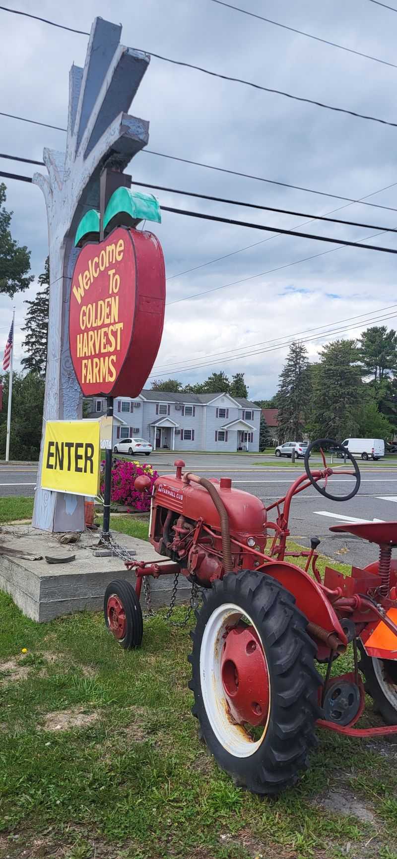 Contact, Location, And Quick Facts