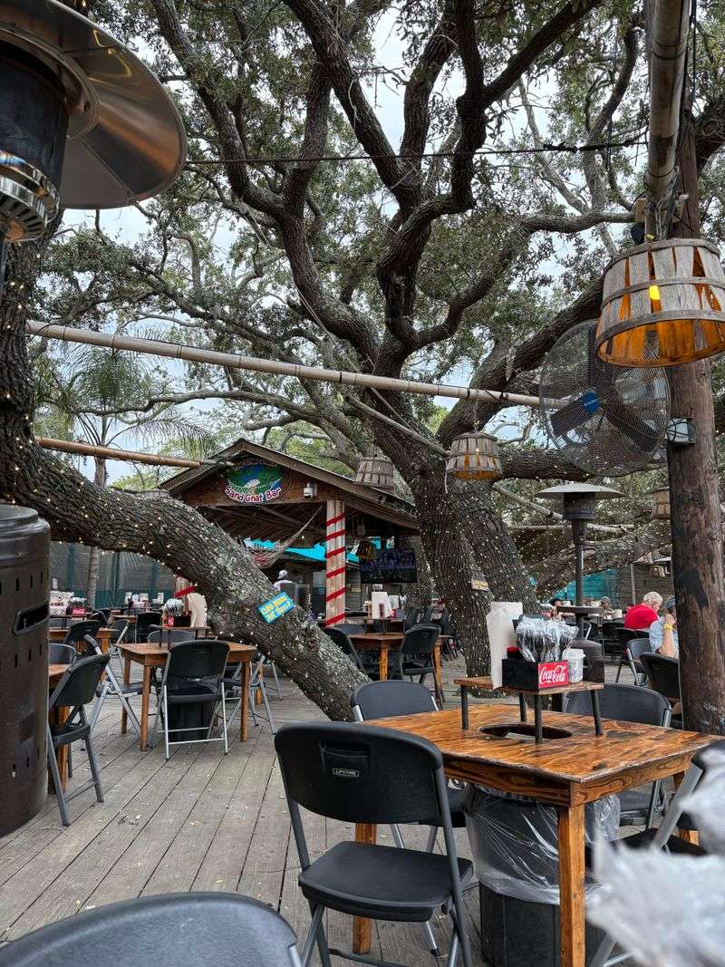 Plan-Your-Visit Essentials