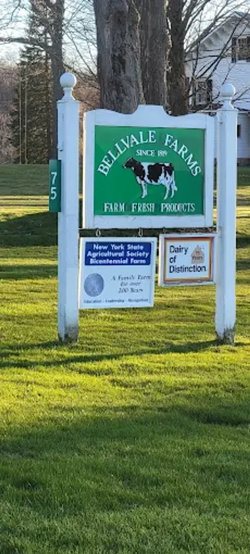 Quick Tips For Timing