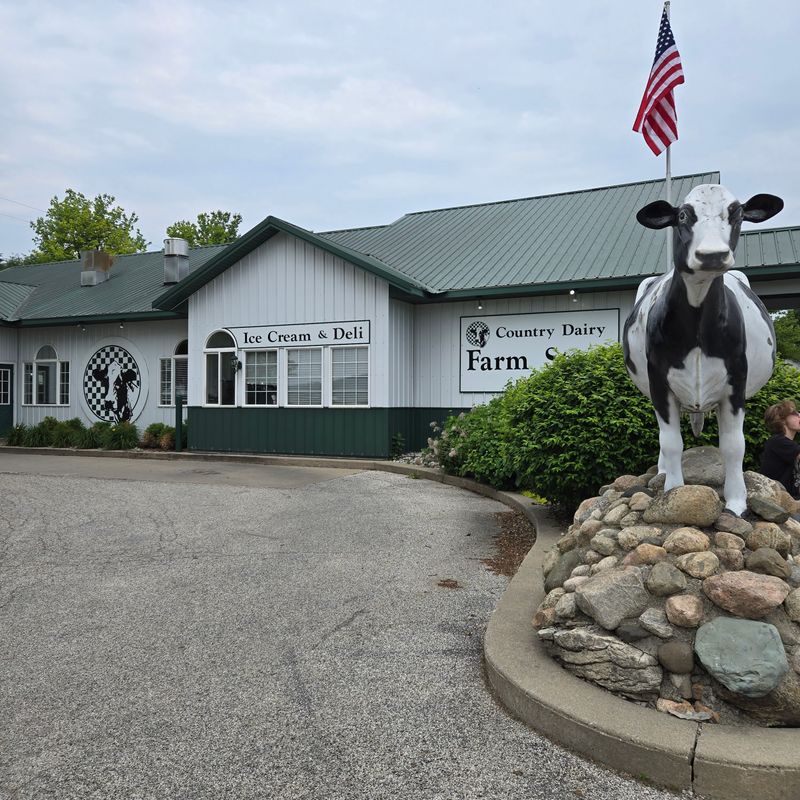 Country Dairy Farm Store - New Era, Michigan