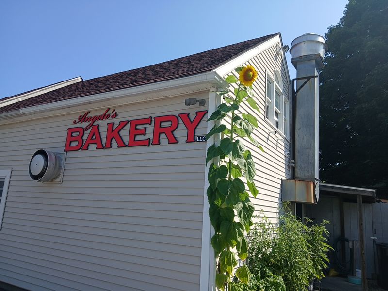 Angelo's Bakery - Colchester, Connecticut