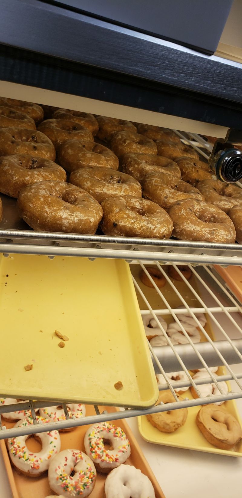 Coconut Topped Yeast Donut