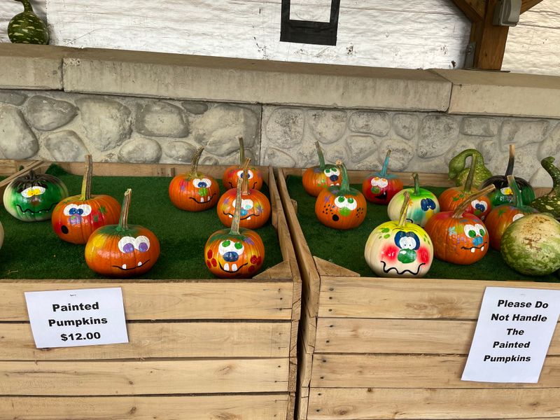 Fun For Kids And Curious Grownups