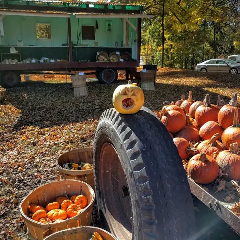 Friendly Counter Crew