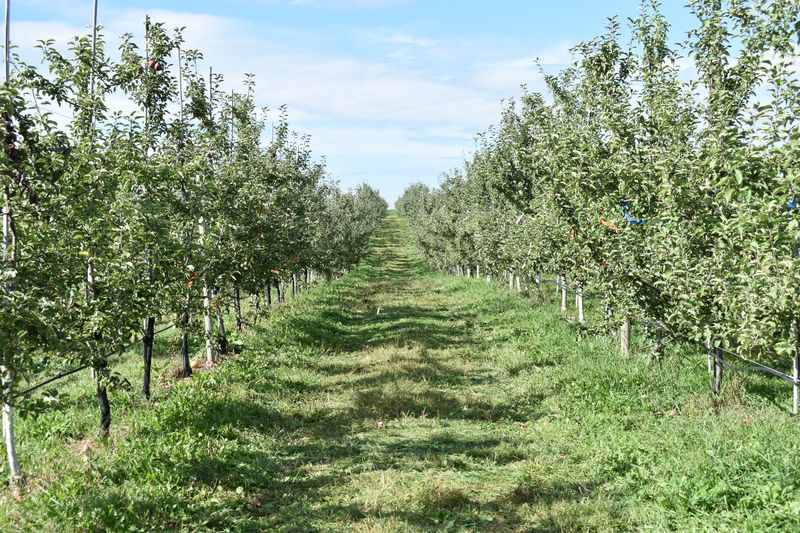 Fishkill Farms – Hopewell Junction, New York