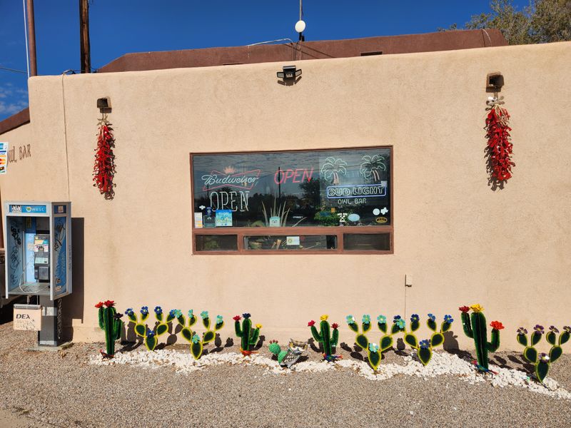 I Spent A Day In New Mexico Hunting 9 Green Chile Cheeseburgers And 2 Were Instant Favorites 5 The Owl Bar & Cafe - San Antonio, New Mexico