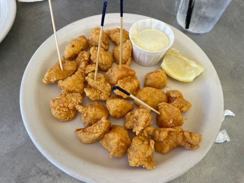 Gator Bites That Surprise You