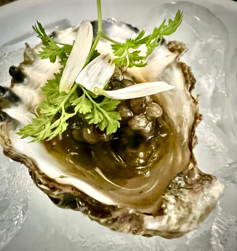 The Hummingbird Way Oyster Bar - Mobile, Alabama