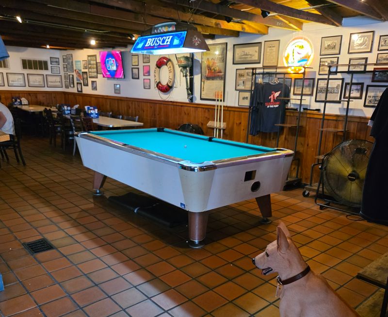 Practical Info: Hours, Price, Contact