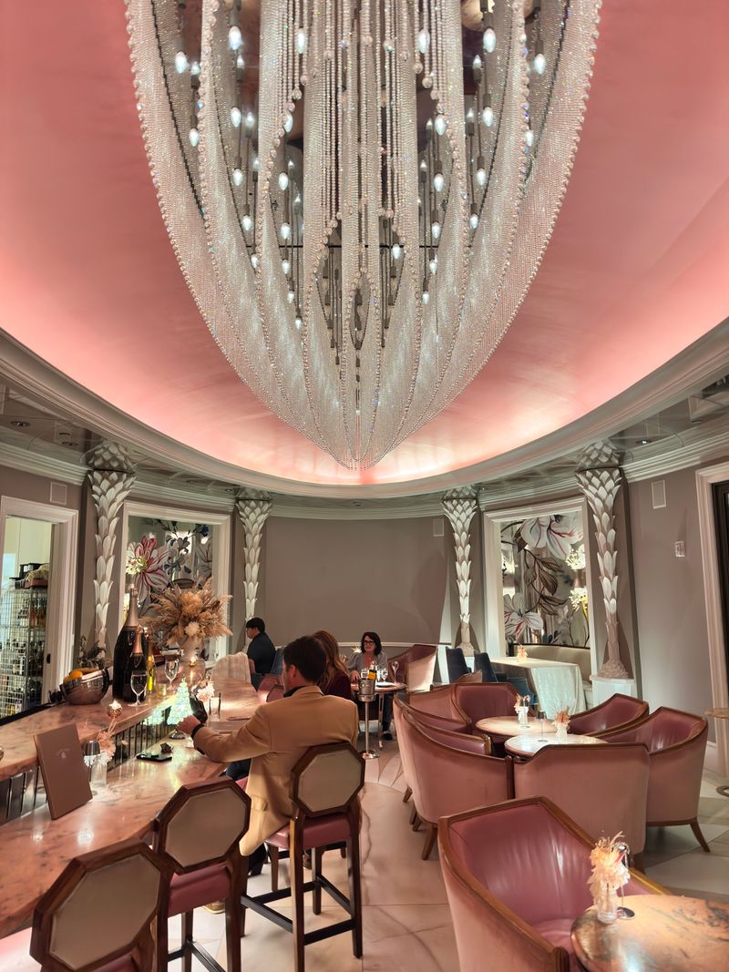 Camellias - Charleston, South Carolina