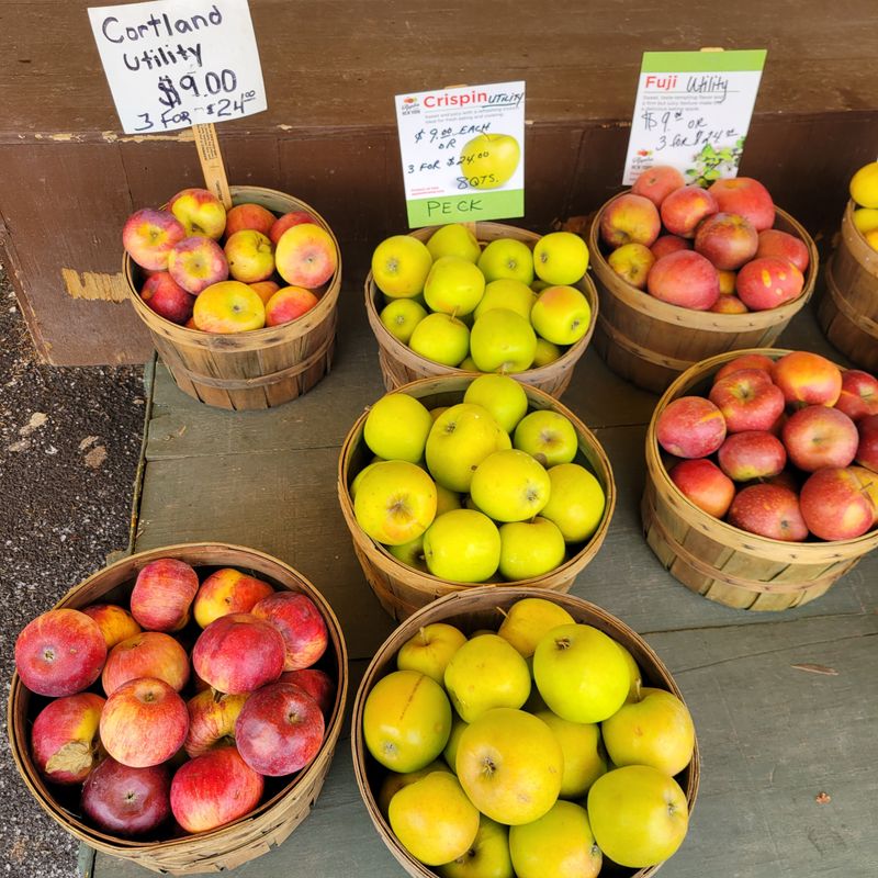 Apple Varieties To Take Home