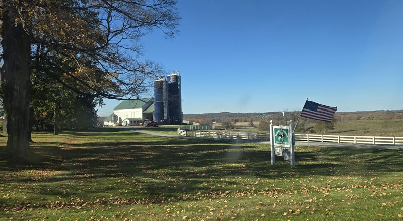 Kid-Friendly Lawn And Benches