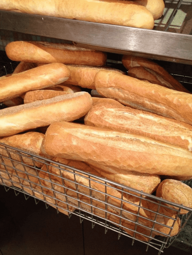 Consistency That Earns 4.6 Stars