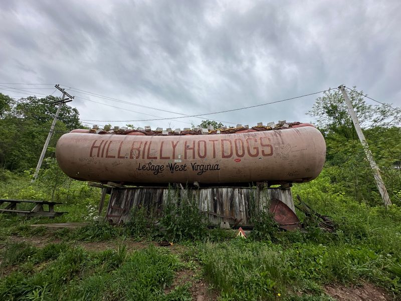 Hillbilly Hot Dogs - Lesage, West Virginia