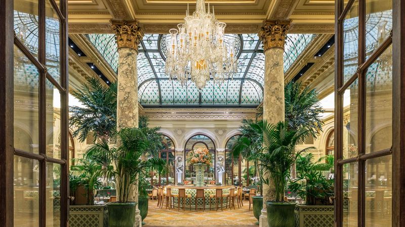The Palm Court - New York, New York