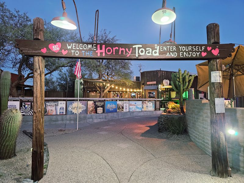 The Horny Toad - Cave Creek, Arizona