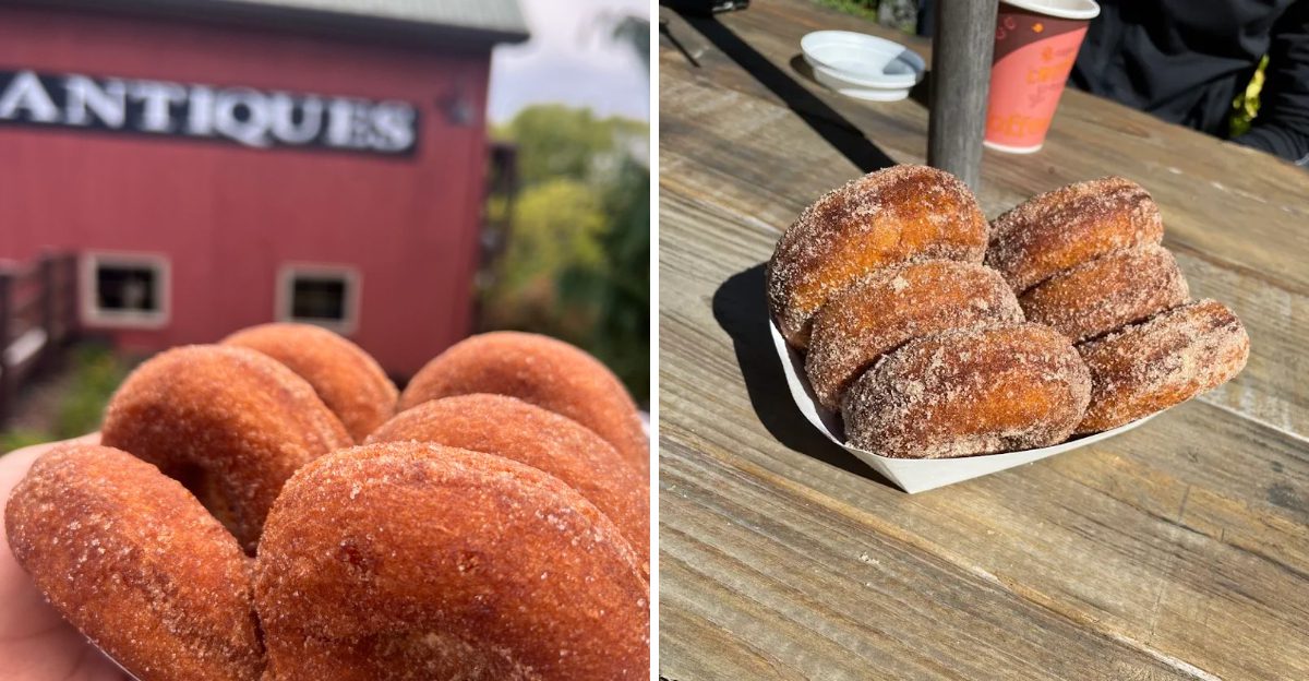 This New York Country Restaurant Serves Old-Fashioned Donuts Locals Say Should Never Change