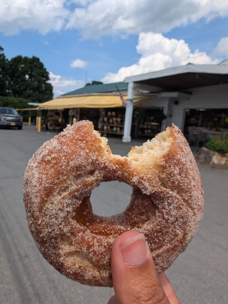 Hot Apple Cider Donuts Fresh From The Fryer
