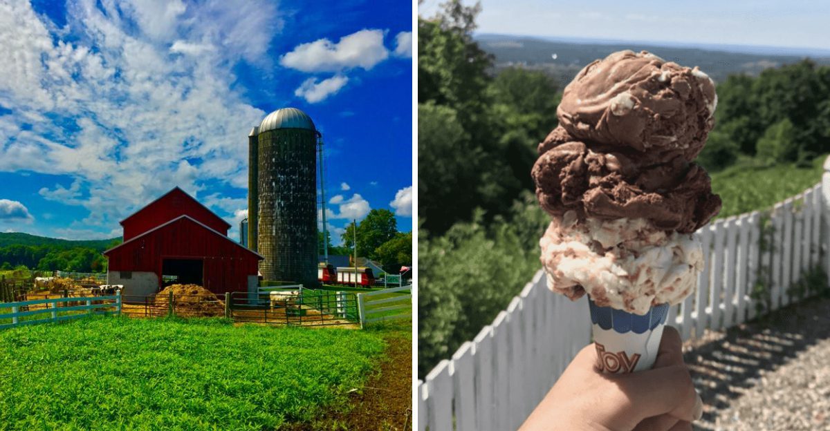 This New York Hilltop Creamery Serves Homemade Ice Cream And Fresh Waffle Cones Locals Say Are Worth The Drive For The Views Alone