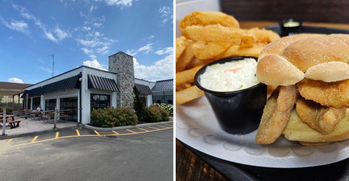 This Ohio Lakeside Shack Serves Walleye Sandwiches That Feel Like Pure Midwest Summer 5 This Ohio Lakeside Shack Serves Walleye Sandwiches That Feel Like Pure Midwest Summer