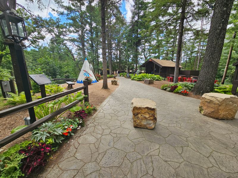 Arrival Through the Pines