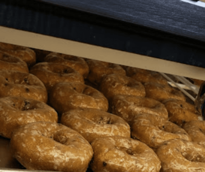 Old Fashioned Style Yeast Hybrid