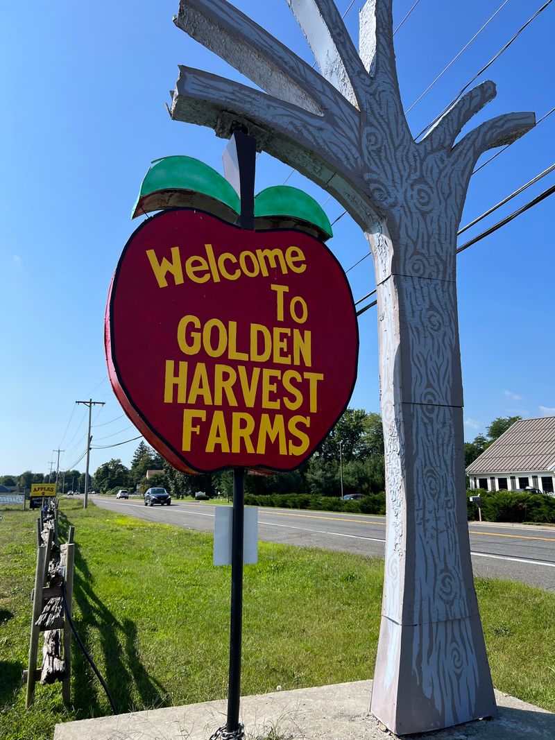 Weekday And Weekend Hours Planning