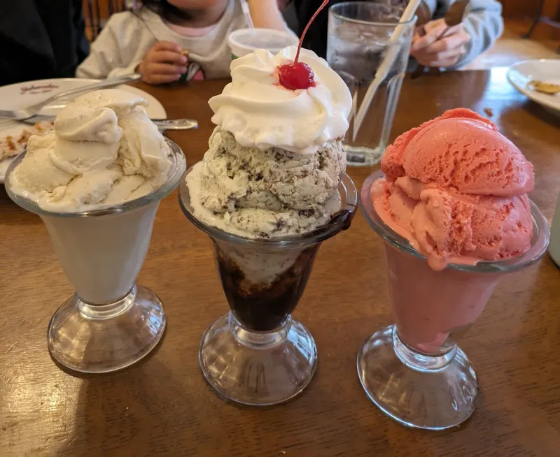 This Indiana Soda Fountain Serves Hand-Dipped Ice Cream Locals Say Is A Sweet Tradition 32 Reflection And Gratitude