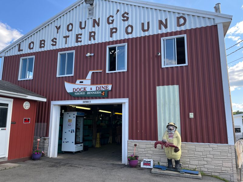 12 Maine Lobster Shacks That Keep Things Simple And Still Win People Over 2 Young's Lobster Pound - Belfast, Maine