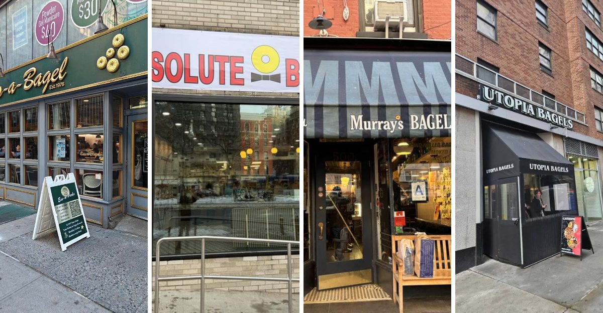 12 New York Bagel Shops Where Locals Insist The Water Really Matters