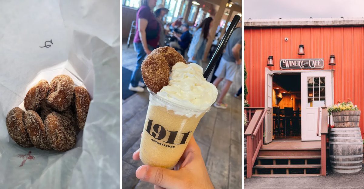 14 New York Apple Cider Donut Stops Where The Sugar Hits First And The Spice Lingers