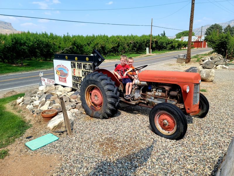 Mt. Lincoln Peach Co - Palisade, Colorado