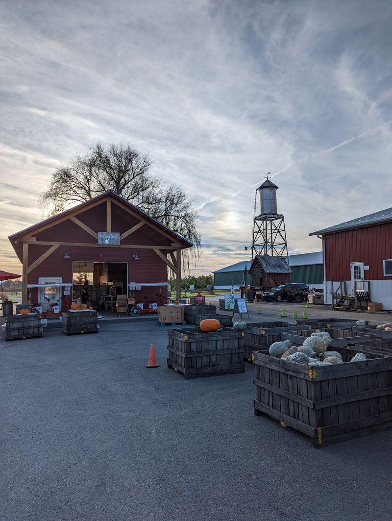 14 New York Apple Cider Donut Stands Where The First Bite Feels Like Fall 6 Samascott Orchards - Kinderhook, New York